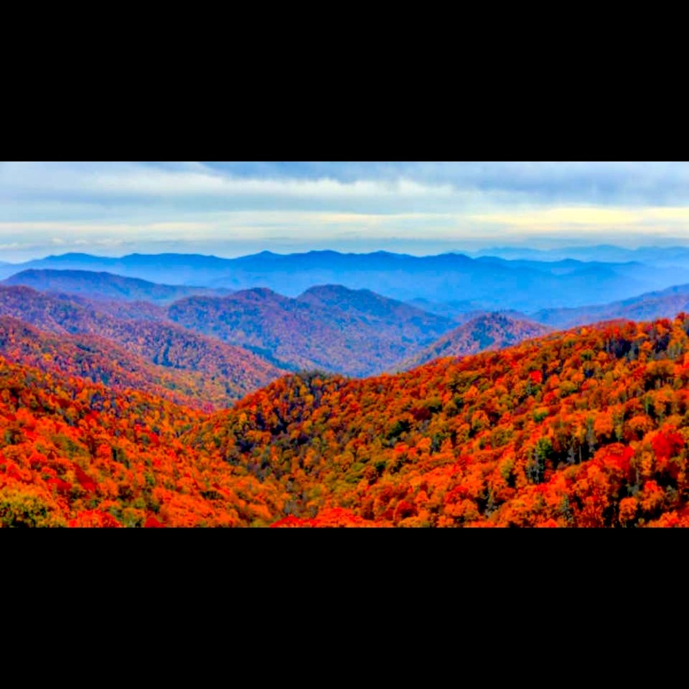 Fall foliage is beautiful